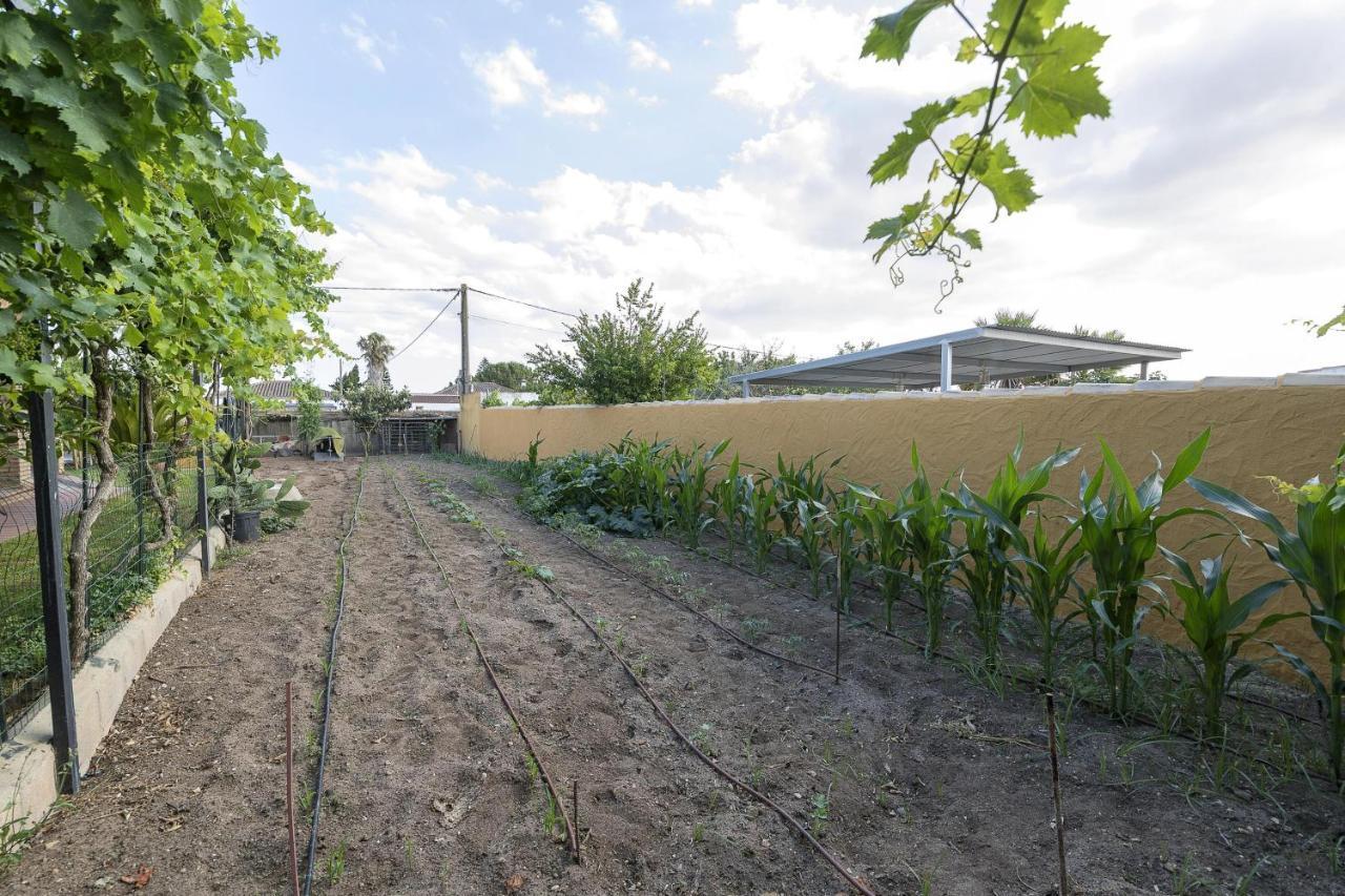 Rincon De La Huerta Villa Chiclana de la Frontera Eksteriør bilde